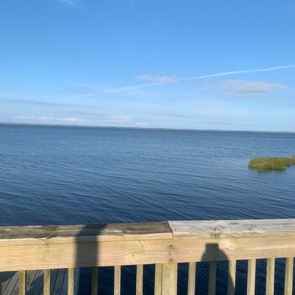 Meet your Posher, Britt